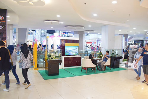 Pameran 2 info pameran di mbk citraland bandar lampung